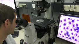 A researcher at Tell Aviv University, lab of Prof Tal Dvir, inspects heart cells in the microscope. Tel Aviv, Israel, April 15, 2019