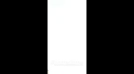 NOTRE DAME IN FLAME-Evacuation Pont Louis Phillipe