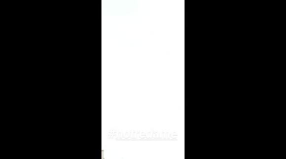 NOTRE DAME IN FLAME-Evacuation Pont Louis Phillipe