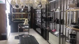 Sweet Pomeranian doggy