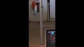 Real rat gets to girl’s apartment by ventilation system