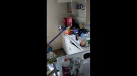 Landlord nightmare tenants