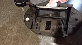 Inside of the Alexa Compatible Big Mouth Billy Bass