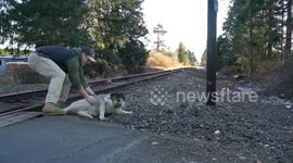 Vlogger-firefighter rescues husky from train tracks