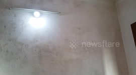 House walls are moldy