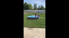 Taking her anger on her barbies