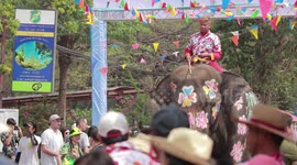 Elephants Spray Crowds In Mass Water Fight