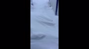 temp