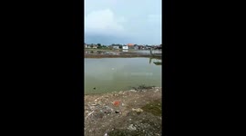 Plastic Waste Cover The Mangrove Area