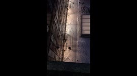 Prankster Makes Snow Penis Outside Boss's Office