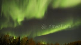 Canadian Northern Lights Beauty