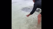 temp