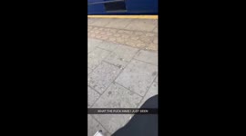 Shocking footage shows drunk public transport user stumble off a platform and on to tracks