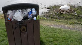 Swans at popular beauty spot build nest out of discarded crisp packets and plastic bottles