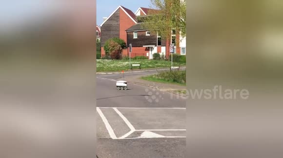 'He knows where he's going' Polite delivery robot waits patiently to cross the road in UK