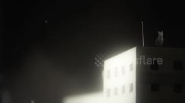 Psicodelic Cat in a Noir City