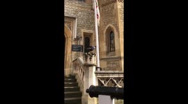 Raven at the Tower of London