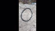temp