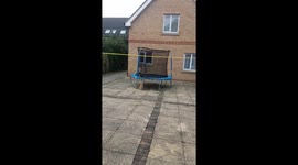 A cat is angry with her partner.