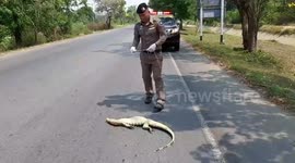 Kind-hearted cop gives 'proper burial' to monitor lizard killed by speeding car