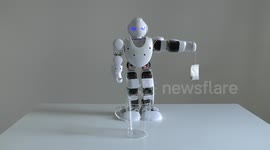 A domestic android humanoid robot practicing brewing tea for his master by steeping a tea bag in an empty glass of water, but his artificial intelligence cannot find the glass. With human hand