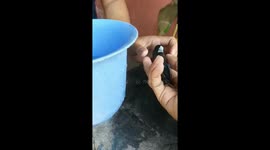 Heartwarming moment bird dying of heatstroke is saved by pedestrian