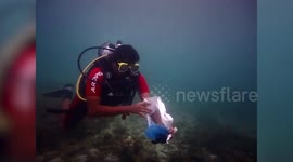 Scuba divers fish out trash from sea-bed to commemorate World Earth Day in South India
