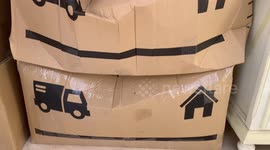 moving boxes damaged in transport