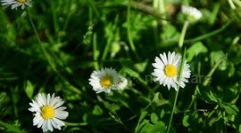 Spring in the retiro park in Madrid, Spain