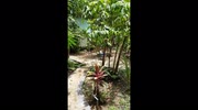 temp
