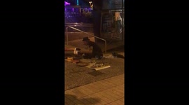 Funny Busker