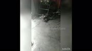 temp