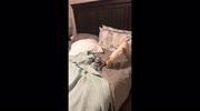temp