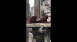 Just my brother and I