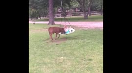 Her sisters are off the hook! #personalpusher #herlaugh #TheEllenShow #JimmyFallon https://t.co/AktKM7RdJE