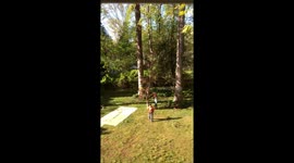 The Workers Are Cutting Down The Tree!