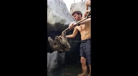 Touching moment passers-by rescue SLOTH clinging to rocks after being washed down river