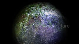 zoom into a micro planet covered in moss and mites