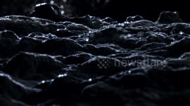 A flyby arround a planet covered in mold, a metaphor between spores and panspermia