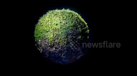 Artist creates eerie miniature world out of moss only 5cm in diameter