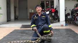 Fireman shows how to escape from deadly python attack... and you'll need two strong friends nearby! (SUBTITLES)