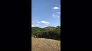 temp