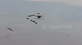 Is this a mini sink hole?