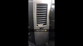 A woman walking a donkey in mid afternoon in cheadle