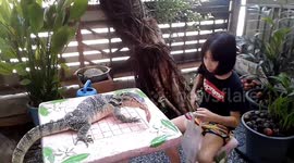 Girl Feeds Raw Meat To Monitor Lizard