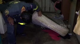 Python Caught Hiding Under Bed