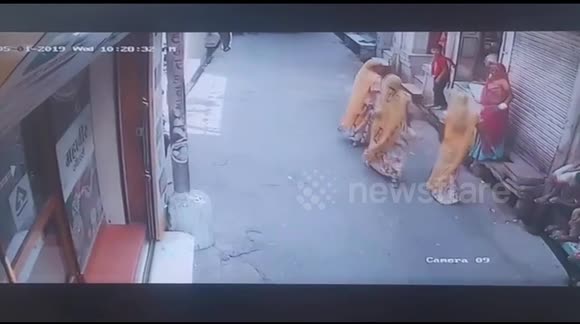 Bull Rams Fighting Terrifying moment raging bull rams into shoppers in northern India ...