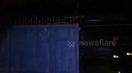 Python Sleeps In Unusual Position