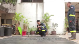 Brave fireman shows how to catch a cobra with bare hands (WITH SUBTITLES)