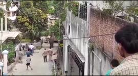 Wild Elephant Walks Down Guwahati Streets, Stops Traffic; Residents Panic